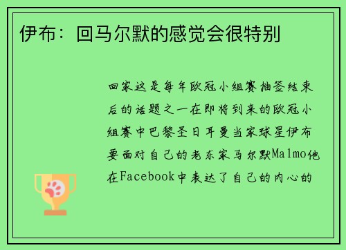 伊布：回马尔默的感觉会很特别